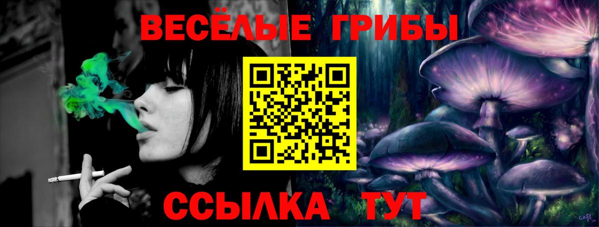 Псилоцибиновые грибы Psilocybine cubensis  Галлюциногенные грибы Magic Shrooms  Вход с VPN  Нерюнгри 